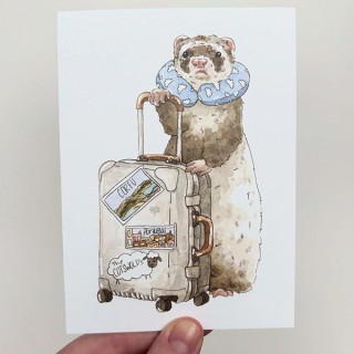 Paper The Critter Co.