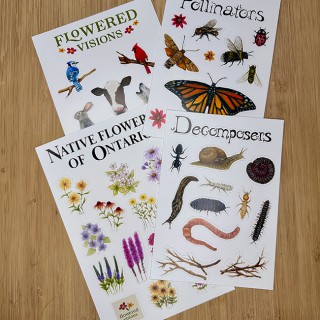 Art Flowered Visions