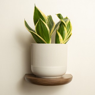 Decor & Home Furnishings Klei Design