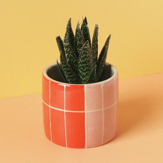 Ceramics & Pottery Nightshift Ceramics