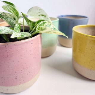 Ceramics & Pottery Valerie Daoust Ceramics